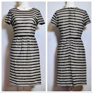 Ann Taylor Striped Lacey Day Dress ❤️